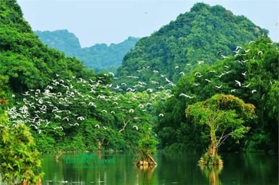 Апартаменти Nha Nghi Bolero Van Lam Екстер'єр фото